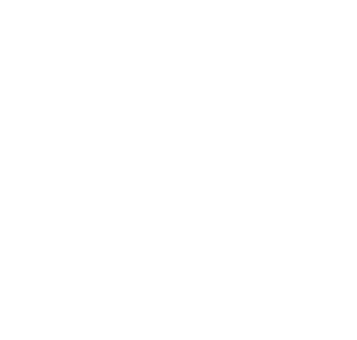 DLR Smart Connection